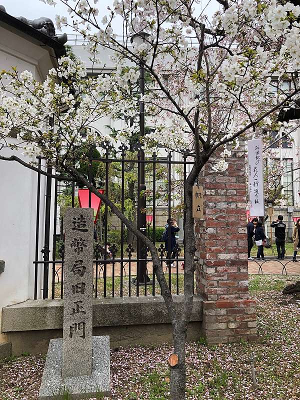 日本大阪賞櫻景點 大阪造幣局 19年4月 莉蘿莉蘿轉身看 痞客邦