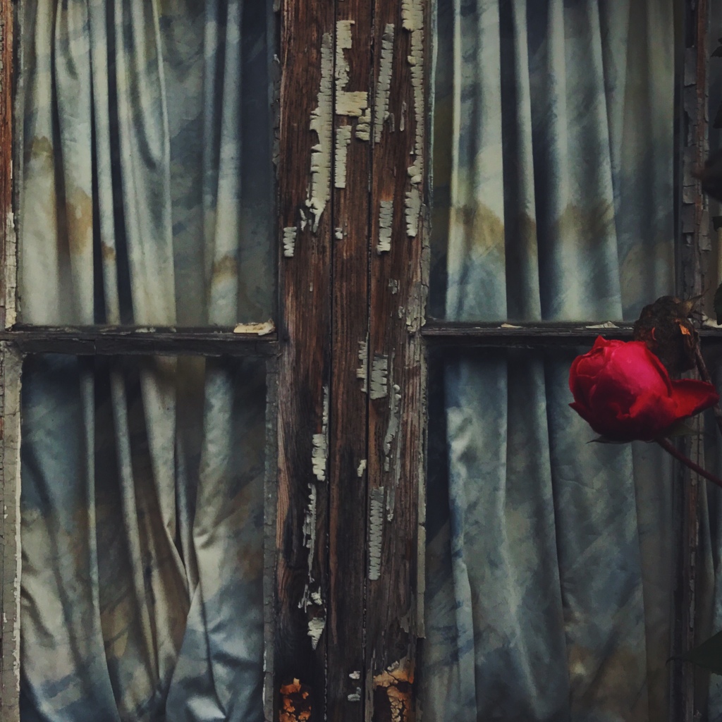 IMG_8998.JPG IMG_8998.JPG