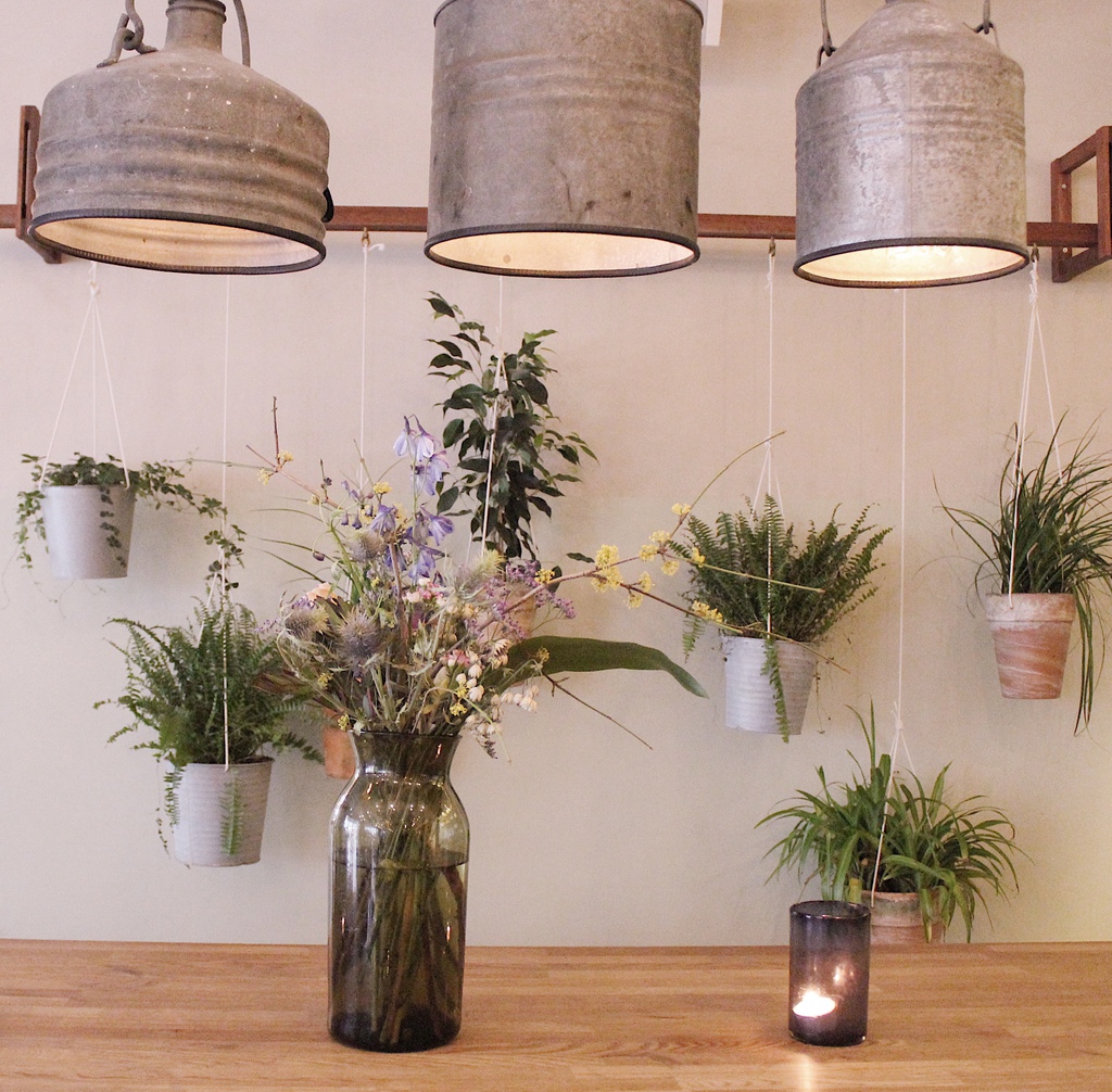 Vakst 2.JPG Vakst 2.JPG