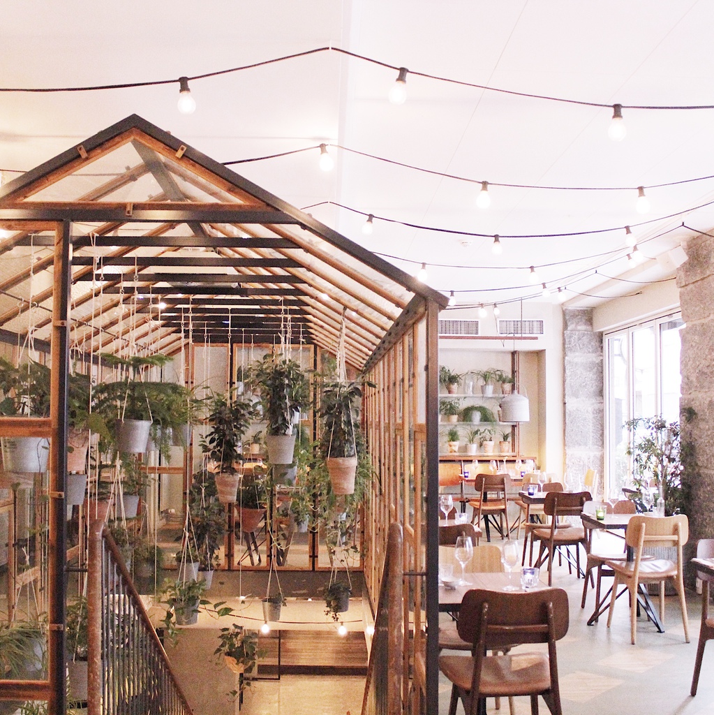 Vakst 3.JPG Vakst 3.JPG