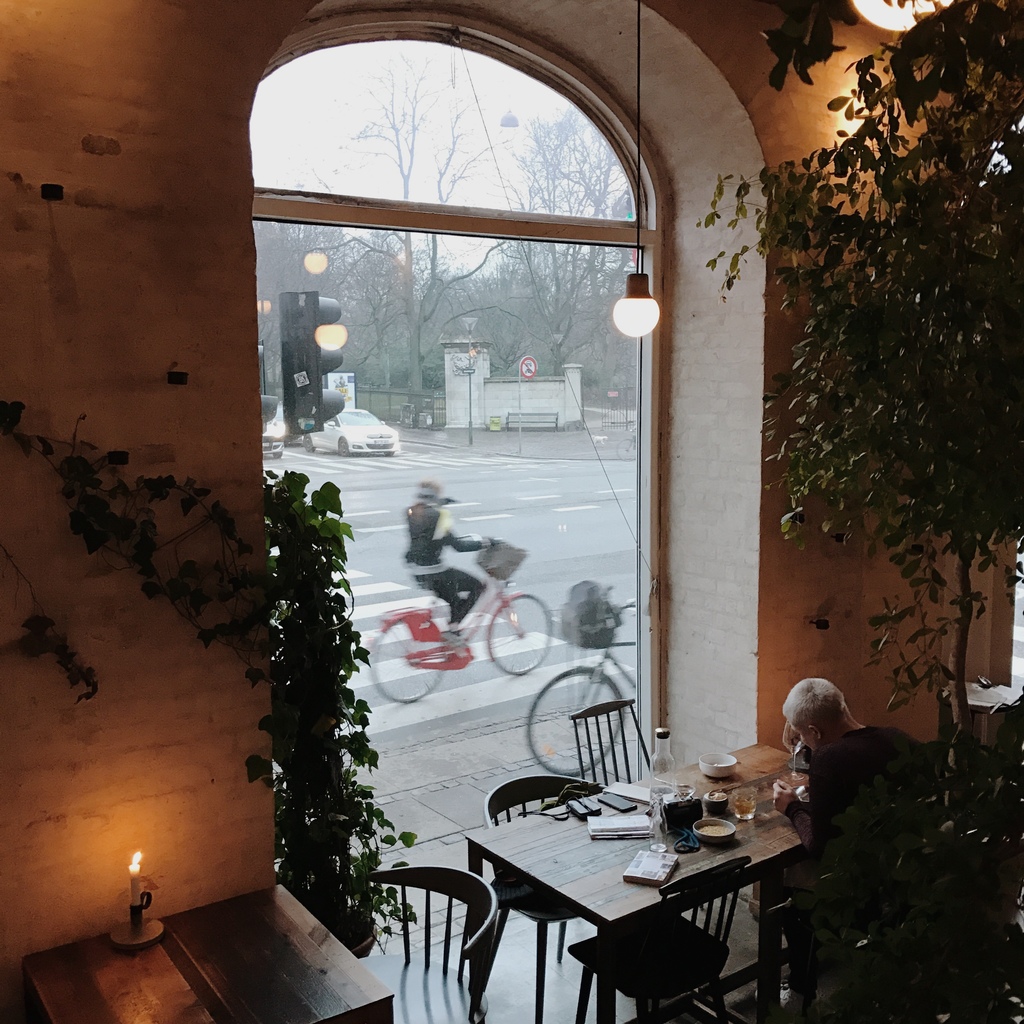 Host 9.JPG Host 9.JPG