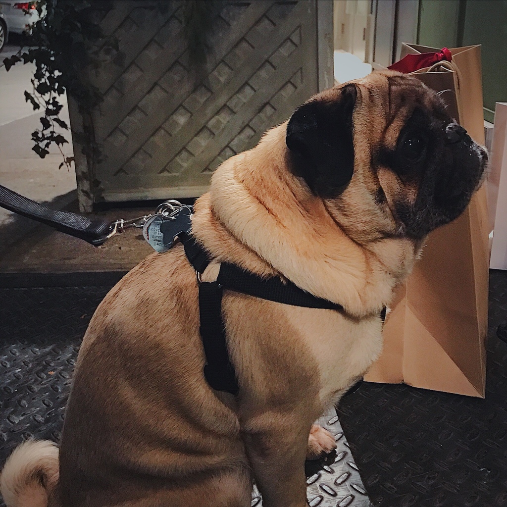 IMG_9724.JPG IMG_9724.JPG