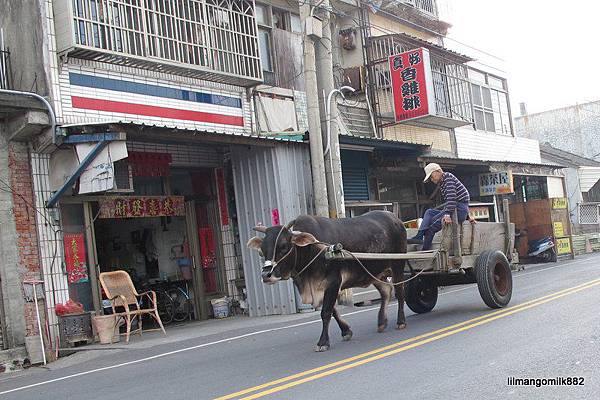 會自己回家的車