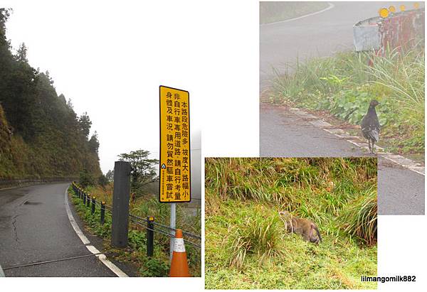 翠峰湖景觀道路