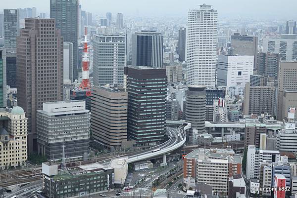 44 空中庭園展望台 景.JPG