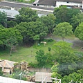 74 天王寺動物園 景.JPG