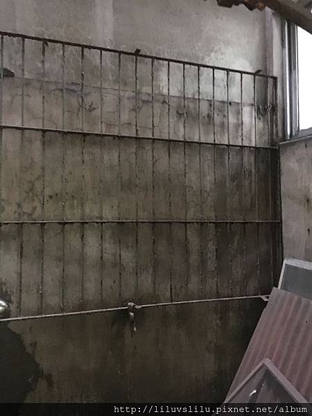 5.jpg 5.jpg