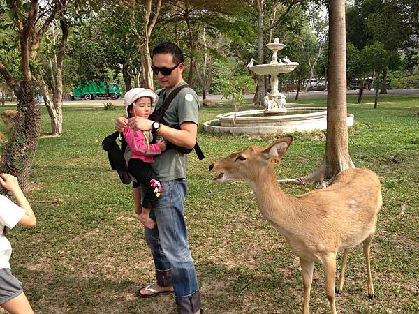 綠山國家動物園泰國團20150217~20150221