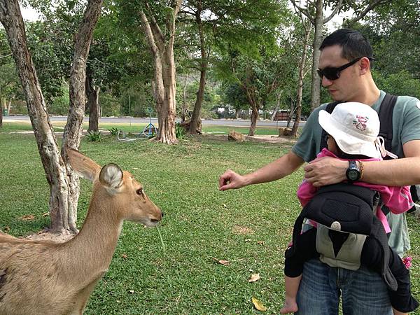 綠山國家動物園泰國團20150217~20150221