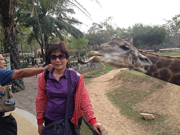 綠山國家動物園泰國團20150217~20150221