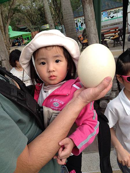 綠山國家動物園泰國團20150217~20150221