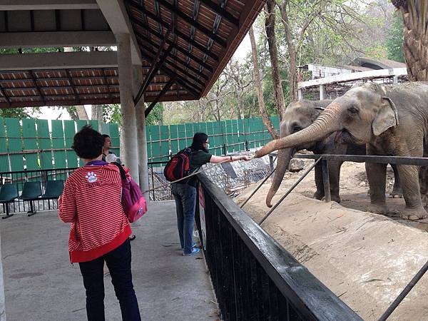 綠山國家動物園泰國團20150217~20150221