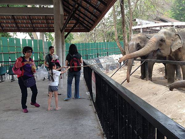 綠山國家動物園泰國團20150217~20150221