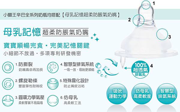 小獅王辛巴