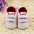 IMG_9147.PNG