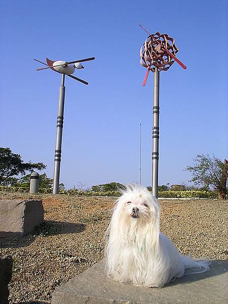 台中都會公園