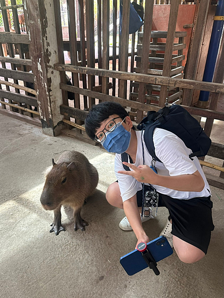 【新北金山景點】鹿羽松牧場x近距離餵食x梅花鹿x水豚x草尼馬