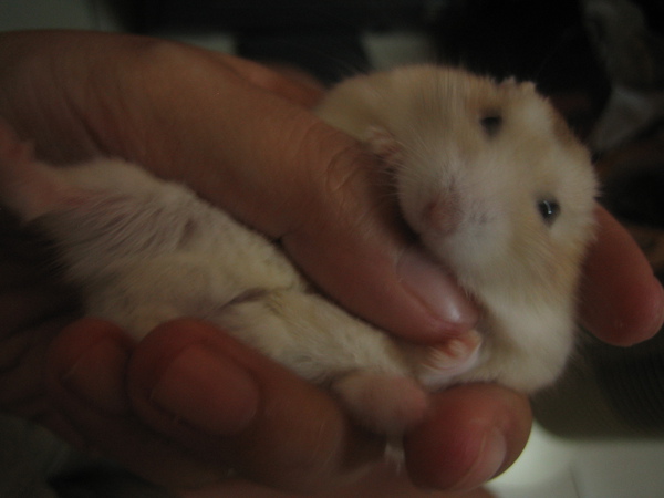 照片 004.jpg 照片 004.jpg