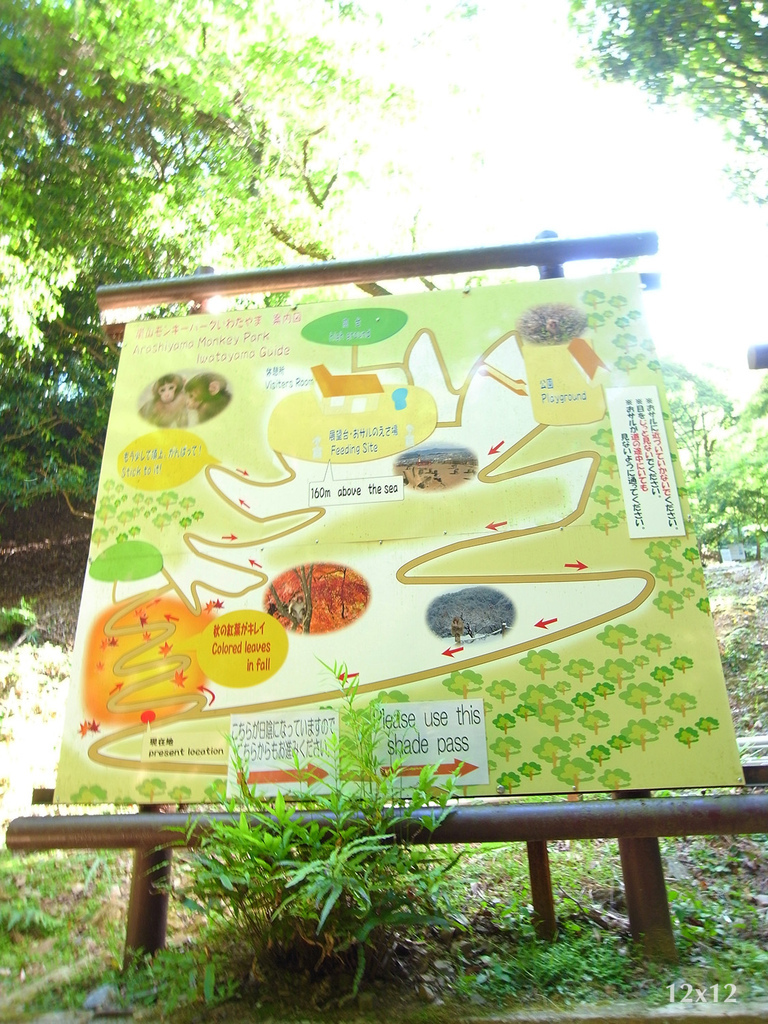 04_岩田山猴子公園.JPG