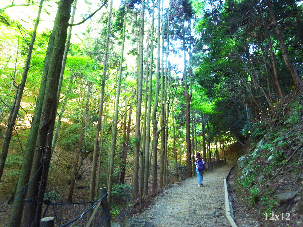 02_岩田山猴子公園.JPG