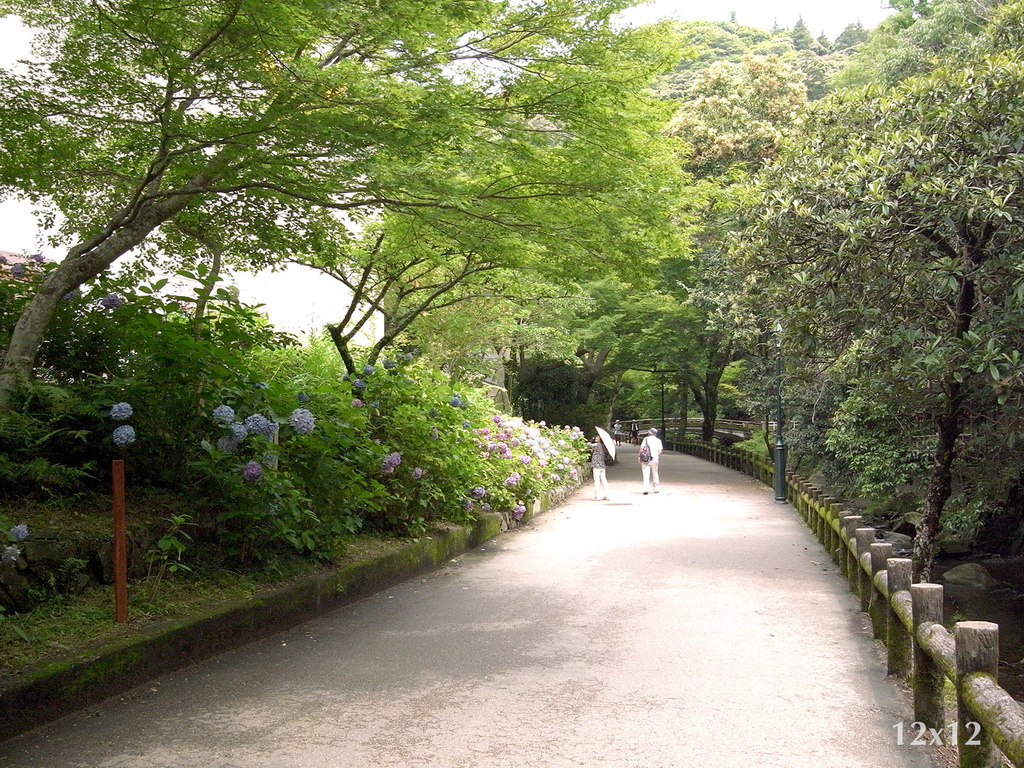 | 大阪近郊 | 修行者之森 明治森林箕面國定公園