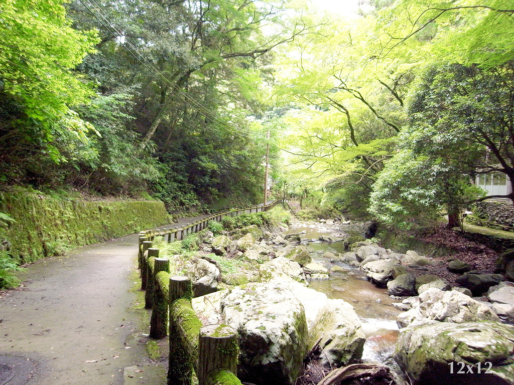 | 大阪近郊 | 修行者之森 明治森林箕面國定公園