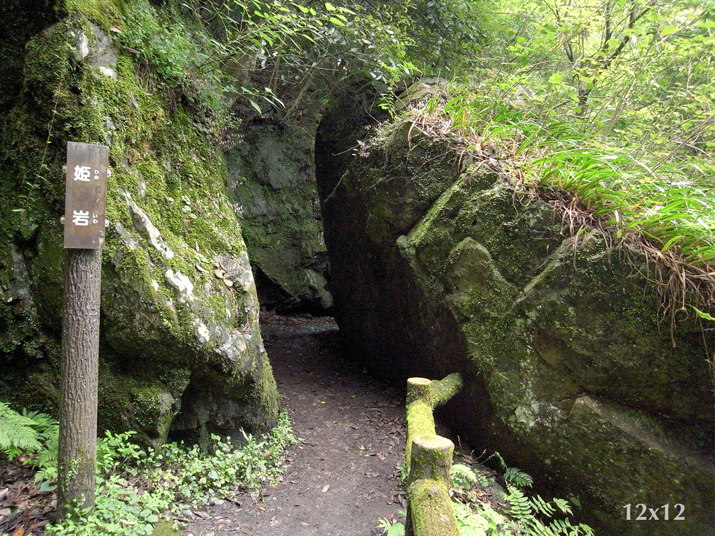 | 大阪近郊 | 修行者之森 明治森林箕面國定公園