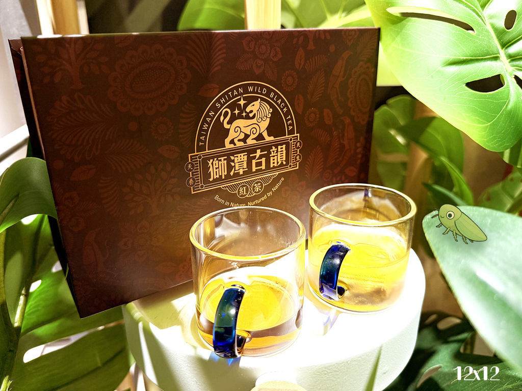 送禮自用兩相宜在地好茶推薦獅潭古韻紅茶