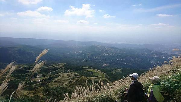 陽明山系。七星山主峰10.jpg