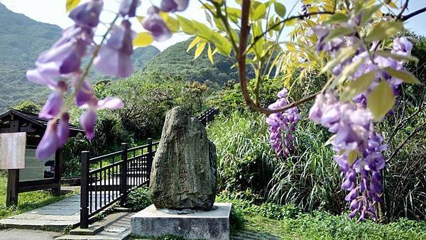 金瓜石。茶壺山步道登山01.jpg