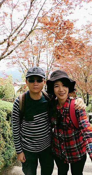 宜蘭。太平山賞台灣杜鵑04.jpg 宜蘭。太平山賞台灣杜鵑04.jpg