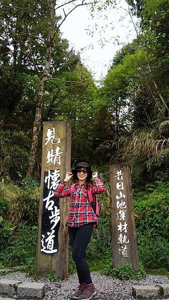 宜蘭。太平山賞台灣杜鵑18.jpg 宜蘭。太平山賞台灣杜鵑18.jpg
