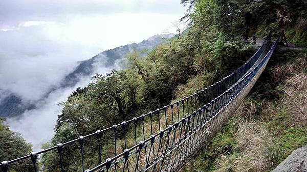 宜蘭。太平山賞台灣杜鵑23.jpg 宜蘭。太平山賞台灣杜鵑23.jpg