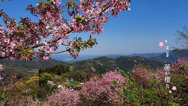 新竹五峰天景12.jpg