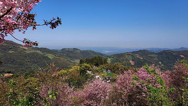 新竹五峰天景53.jpg