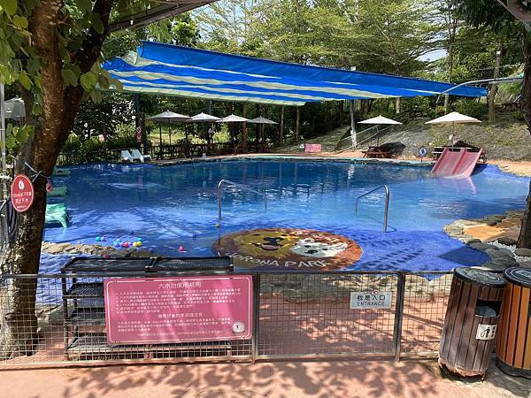 森呼吸寵物水陸樂園大水池.JPG