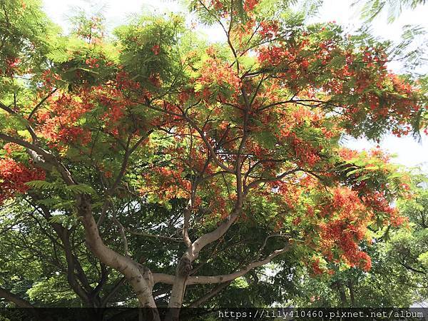 139DC1EC-2B3B-4136-AE2D-2C8D86664659.jpeg 139DC1EC-2B3B-4136-AE2D-2C8D86664659.jpeg