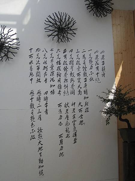 2014-01-08陽明山花卉中心的茶花 (59).jpg