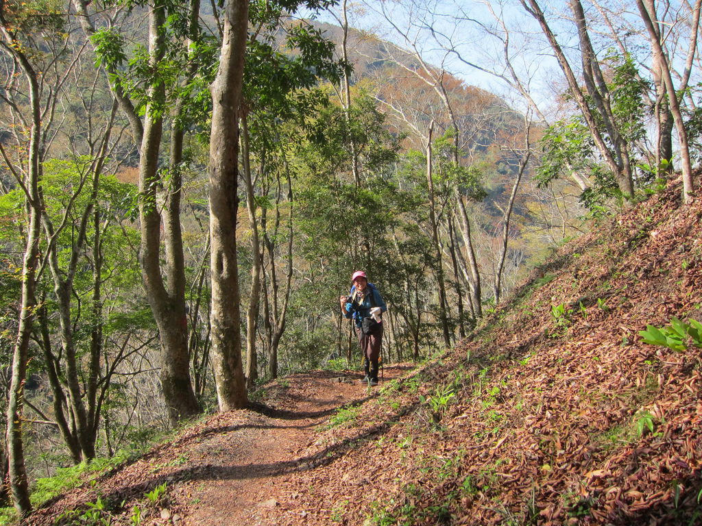 20150222虎山走春