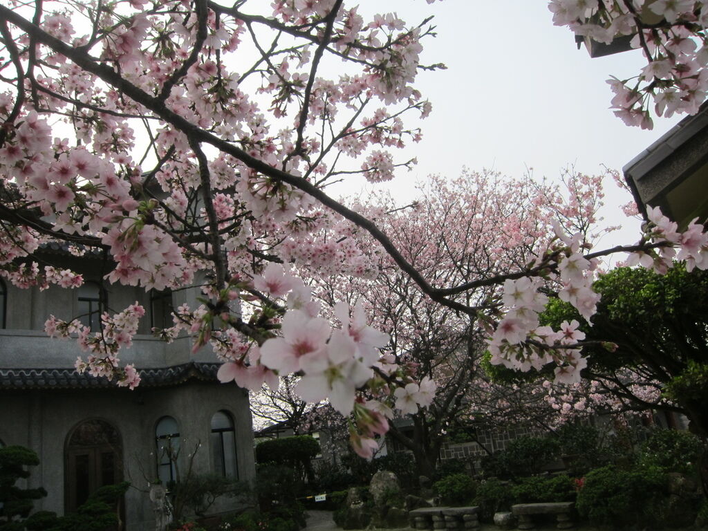 160403東方寺