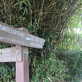160626象山步道 (20).JPG