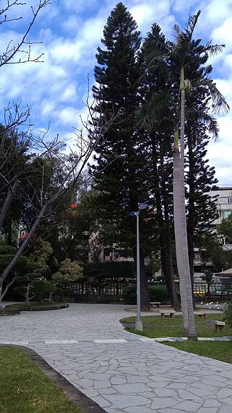 20161217雙溪公園 (15).jpg