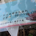 170210陽明山花卉中心 (48).JPG