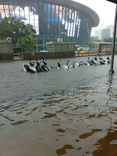 170602水淹小巨蛋賴碧貞攝