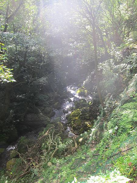 160717陽明山絹絲瀑布 (11).JPG
