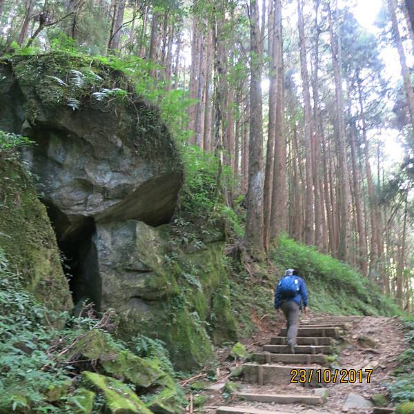 171023特富野古道