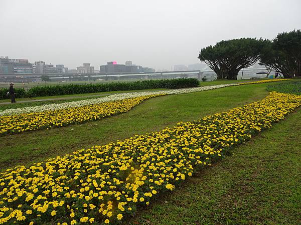 171231基隆河左岸5號水門內