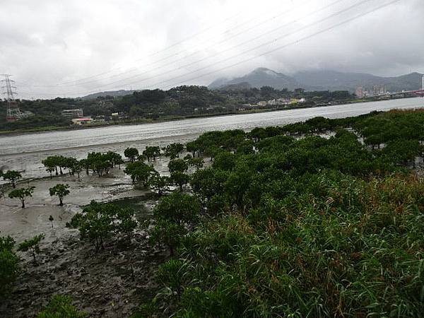 180204關渡到八里雨中健行