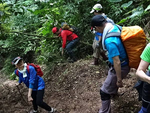 20180304頂湖山無尾崙山18水圳道賞櫻