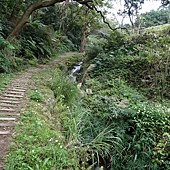 20180304頂湖山無尾崙山18水圳道賞櫻